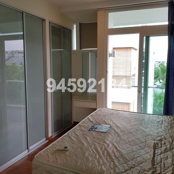 Palm Oasis (D15), Apartment #159458392
